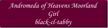 Andromeda of Heavens Moorland
