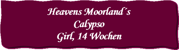 Heavens Moorland´s