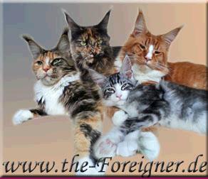 foreigner