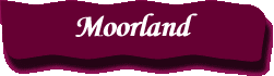 Moorland