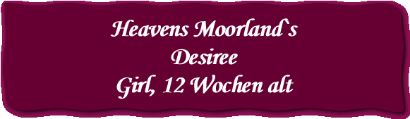 Heavens Moorland`s 