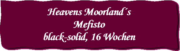 Heavens Moorland´s