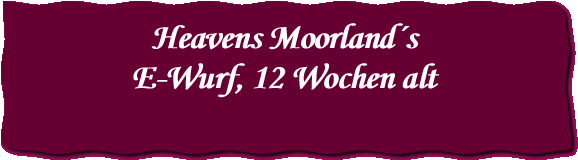 Heavens Moorland´s