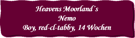 Heavens Moorland´s