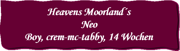 Heavens Moorland´s