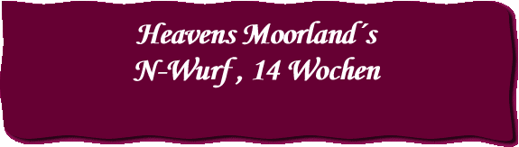 Heavens Moorland´s