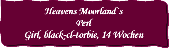 Heavens Moorland´s