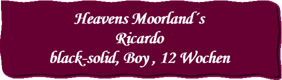 Heavens Moorland´s