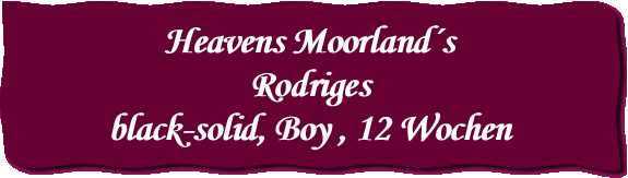 Heavens Moorland´s