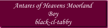 Antares of Heavens Moorland