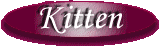 Kitten