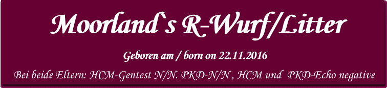  Moorland`s R-Wurf/Litter