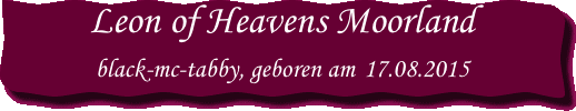 Leon of Heavens Moorland